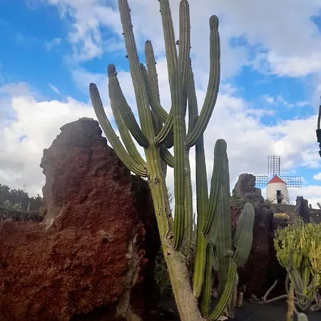 Apartament El Oasis De Nali - Playa Grande Puerto del Carmen (Lanzarote)