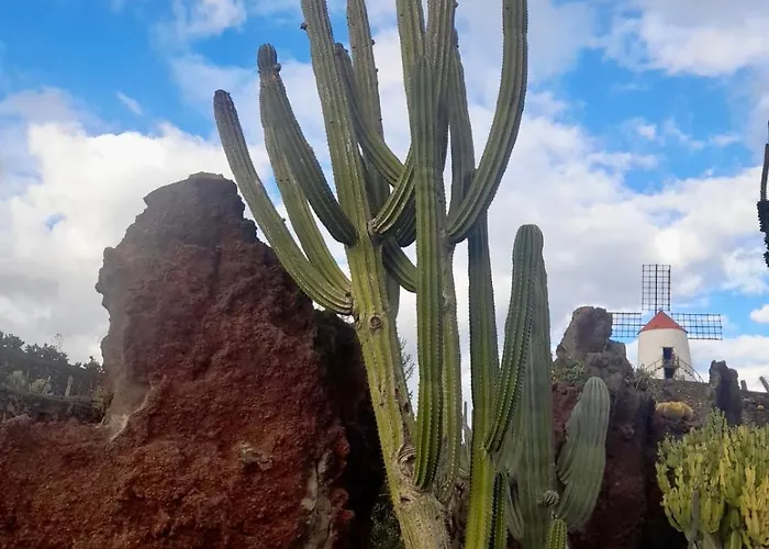 Διαμέρισμα El Oasis De Nali - Playa Grande Πουέρτο Ντελ Κάρμεν